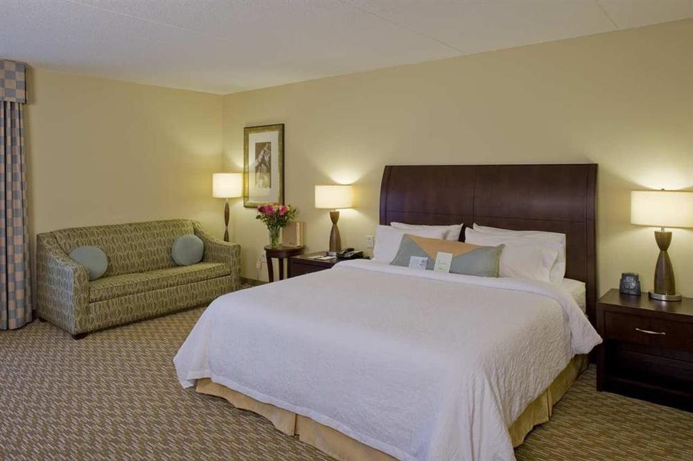 Hilton Garden Inn Nashville Smyrna Værelse billede
